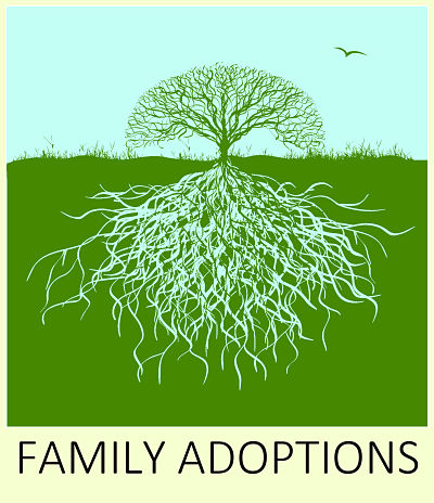 Online document preparation course Family Adoption